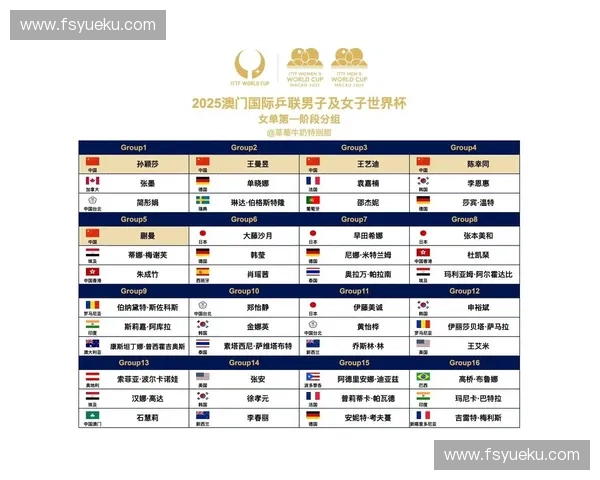 世界杯最新赛程与比分全记录详尽解析汇总表